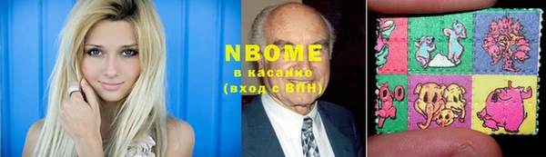 индика Белокуриха