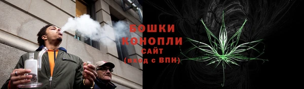 индика Белокуриха