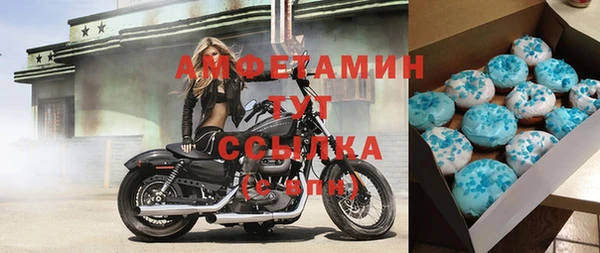 индика Белокуриха